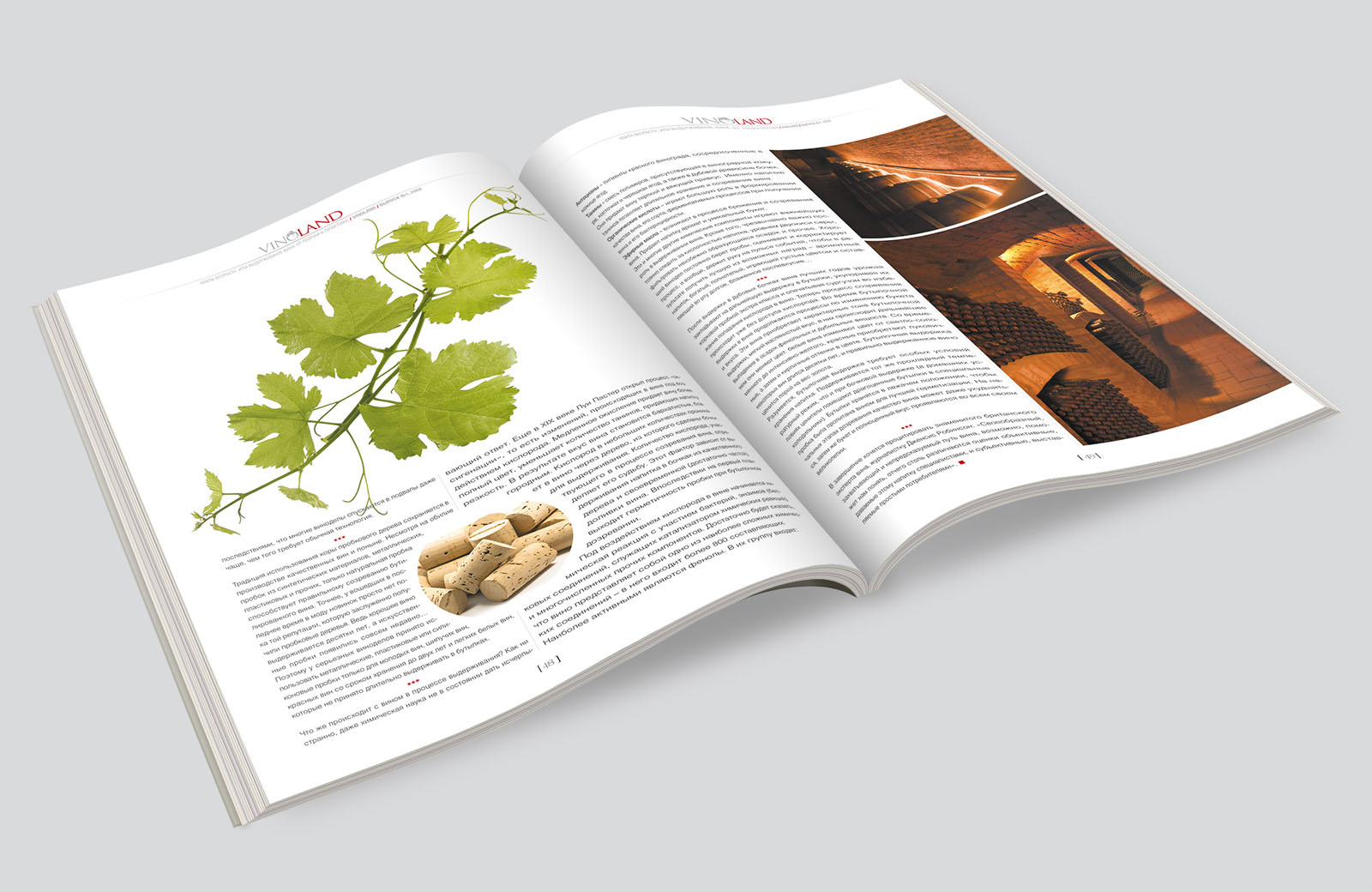 100.jpg
