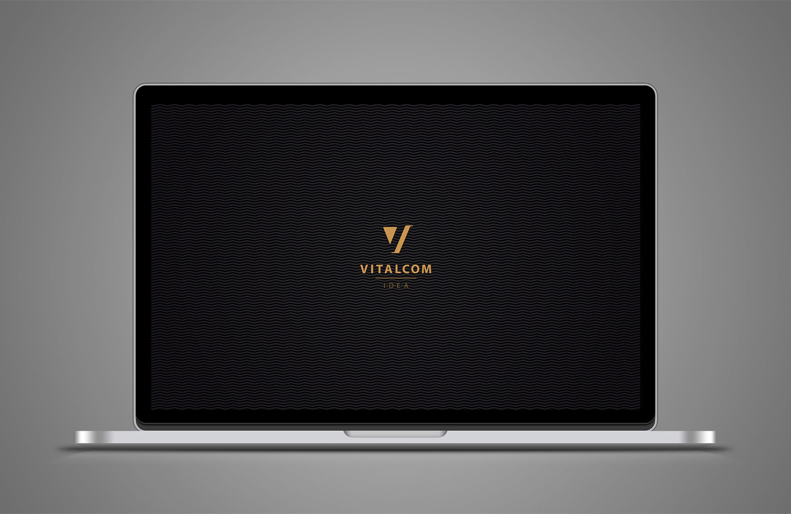 vit_010.jpg
