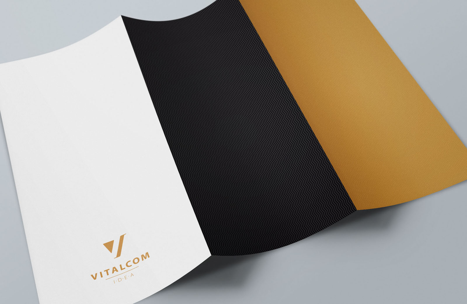 vit_090.jpg